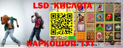 ПСИЛОЦИБИНОВЫЕ ГРИБЫ Кунгур