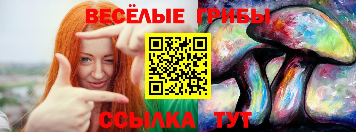 Псилоцибиновые грибы Magic Shrooms Кинель