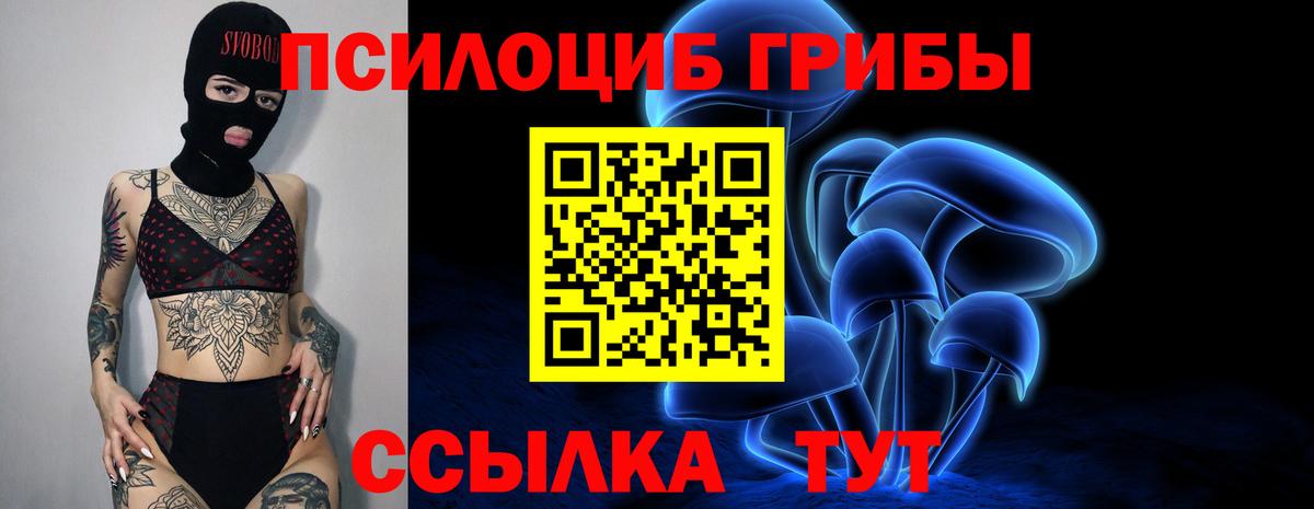 Кинель  Псилоцибиновые грибы GOLDEN TEACHER  Вход с VPN 