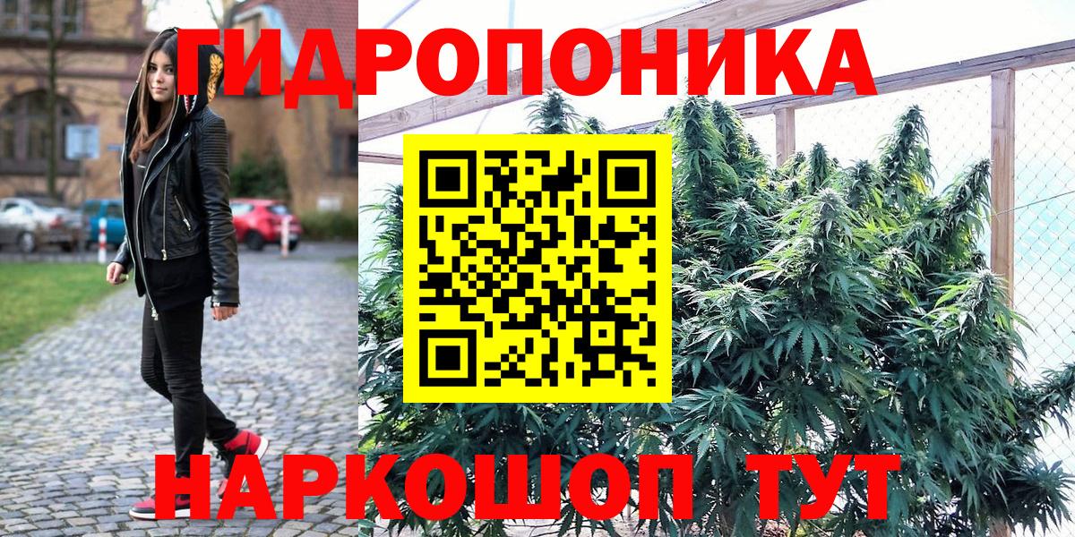Конопля сатива  Вход с VPN  Бошки марихуана план  Кинель  Конопля тримм  Канабис конопля 